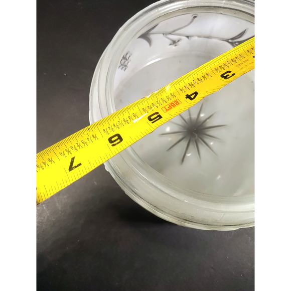 Vintage Light Shade Medallion Frosted Porch Hall Shade Fitter 6" Grapes Vine - Picture 3 of 8